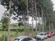 Attico / Mansarda in vendita a Roma RM