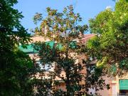 Attico / Mansarda in vendita a Trieste TS