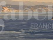 Attico vista mare a Albenga