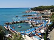 Attico/mansarda in vendita a Rosignano Marittimo via di...