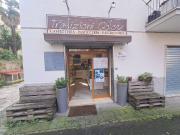 Attivit commerciale in vendita a Albano Laziale