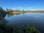 Attivit commerciale in vendita a Pisa 350 mq Rif: 1356267