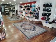 Attivit di negozio arredato di costumi femminili