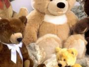 Attivit / Licenza di 60 m con 1 locale in vendita a Bologna