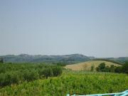 Attività commerciale 2500mq