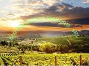 Attività commerciale 650mq Attività commerciale 650mq