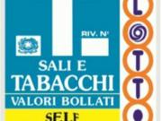 Attività commerciale bilocale 65mq