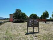 Attività / Licenza in affitto a Anagni FR