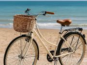 Attività / Licenza in affitto a Cecina LI