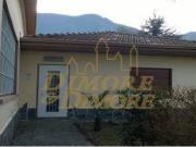 Attività / Licenza in affitto a Gravellona Toce VB