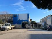 Attività / Licenza in affitto a Grosseto GR