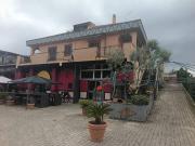 Attività / Licenza in affitto a Marino RM