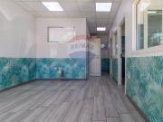 Attività / Licenza in affitto a Roma RM