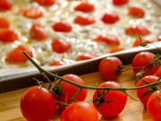 Attività / Licenza in affitto a Roma RM