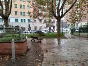 Attività / Licenza in affitto a Roma RM