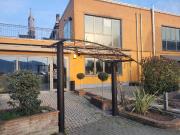 Attività / Licenza in affitto a Suzzara MN