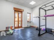 Attività / Licenza in affitto a Torino TO