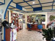 Attività / Licenza in affitto a Torino TO