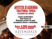 Attività / Licenza in affitto a Valeggio sul Mincio VR