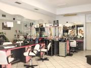 Attività / Licenza in vendita a Alba CN