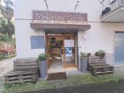 Attività / Licenza in vendita a Albano Laziale RM