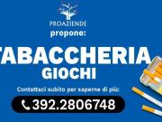 Attività / Licenza in vendita a Albinea RE