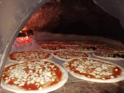 Attività / Licenza in vendita a Alghero SS