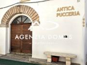 Attività / Licenza in vendita a Alliste LE