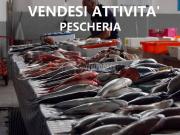 Attività / Licenza in vendita a Ancona AN