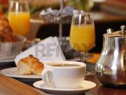 Attività / Licenza in vendita a Anguillara Sabazia RM