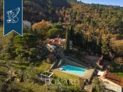 Attività / Licenza in vendita a Arezzo AR