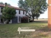 Attività / Licenza in vendita a Bagnacavallo RA