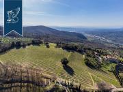 Attività / Licenza in vendita a Bagno a Ripoli FI
