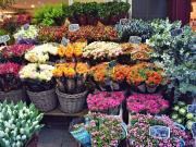 Attività / Licenza in vendita a Bologna BO