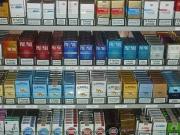 Attività / Licenza in vendita a Bologna BO