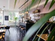 Attività / Licenza in vendita a Bologna BO