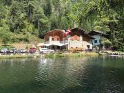 Attività / Licenza in vendita a Borgo d'Anaunia TN