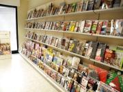 Attività / Licenza in vendita a Camaiore LU