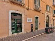 Attività / Licenza in vendita a Campobasso CB