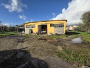 Attività / Licenza in vendita a Capannori LU