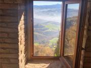 Attività / Licenza in vendita a Carpineti RE