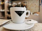 Attività / Licenza in vendita a Cascina PI