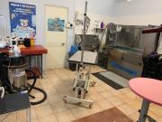 Attività / Licenza in vendita a Caserta CE