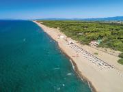 Attività / Licenza in vendita a Castagneto Carducci LI