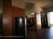 Attività / Licenza in vendita a Castel del Piano GR