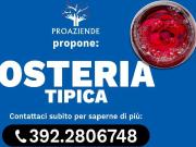 Attività / Licenza in vendita a Castelvetro Piacentino PC