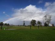 Attività / Licenza in vendita a Cavenago d'Adda LO