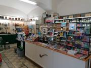 Attività / Licenza in vendita a Civitavecchia RM