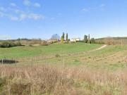 Attività / Licenza in vendita a Civitella Paganico GR