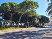Attività / Licenza in vendita a Diano Marina IM